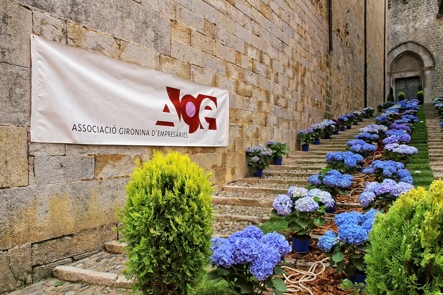 L'AGE a Girona Temps de Flors 2015